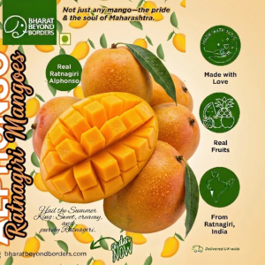 Alphonso Mango<br><strong><span style="display:inline-block;animation:blink 1.5s infinite;color:#ff0000;">PRE Order now...</span></strong>